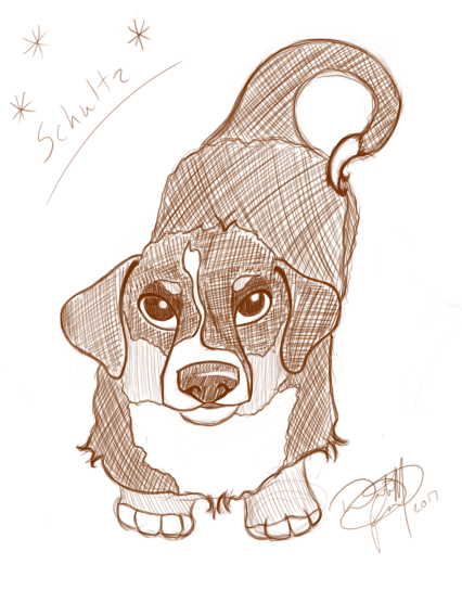 Berner From Top Test